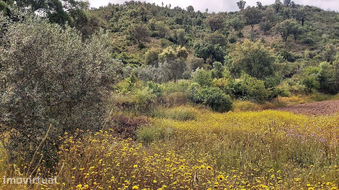 Terreno  para venda - Grande imagem: 5/10