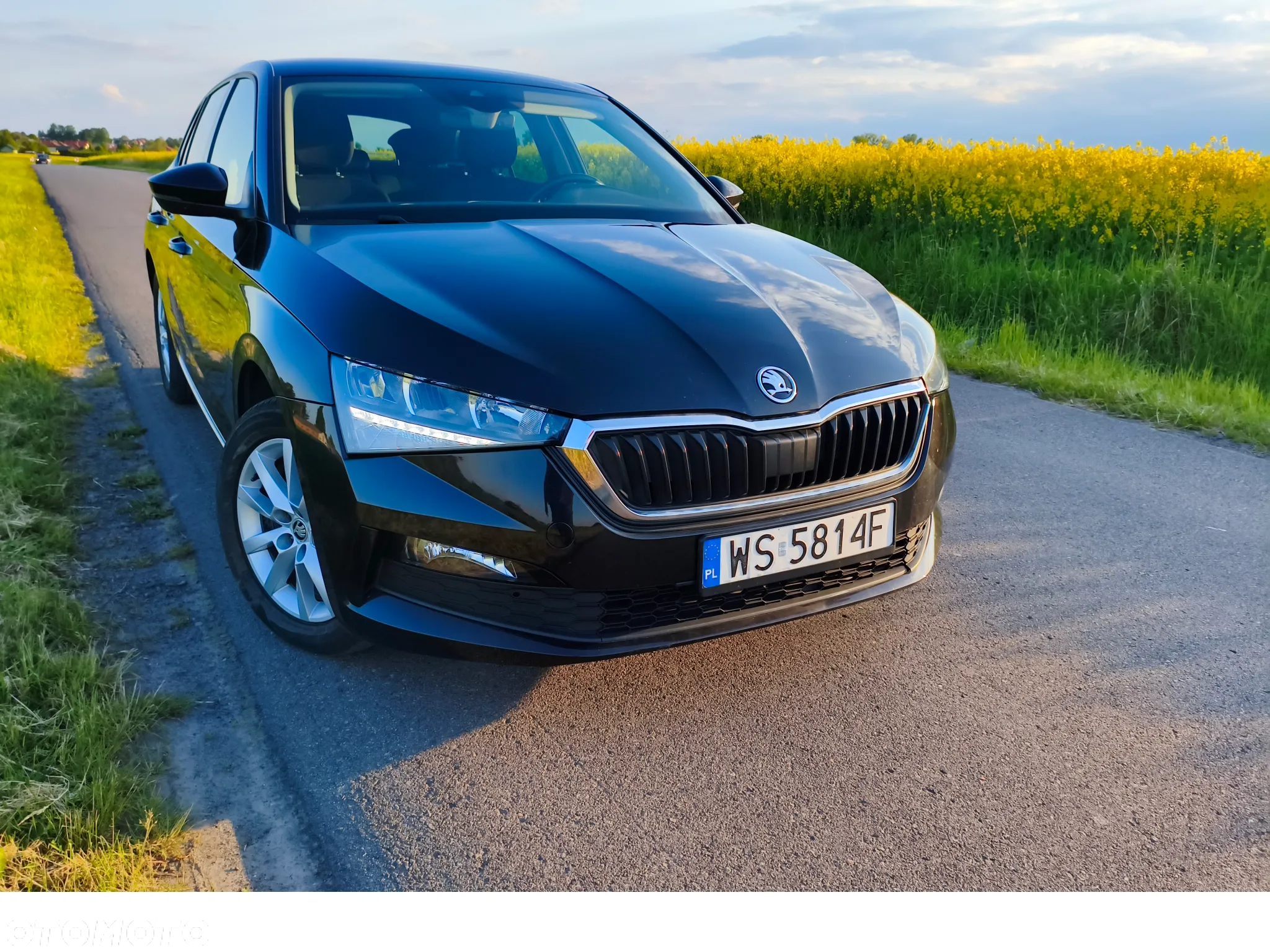 Skoda Scala 1.0 TSI Ambition - 2