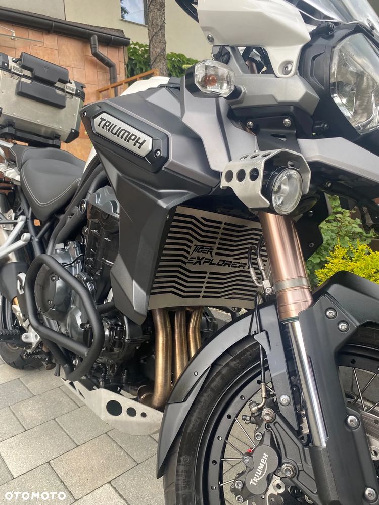 Triumph Tiger - 19