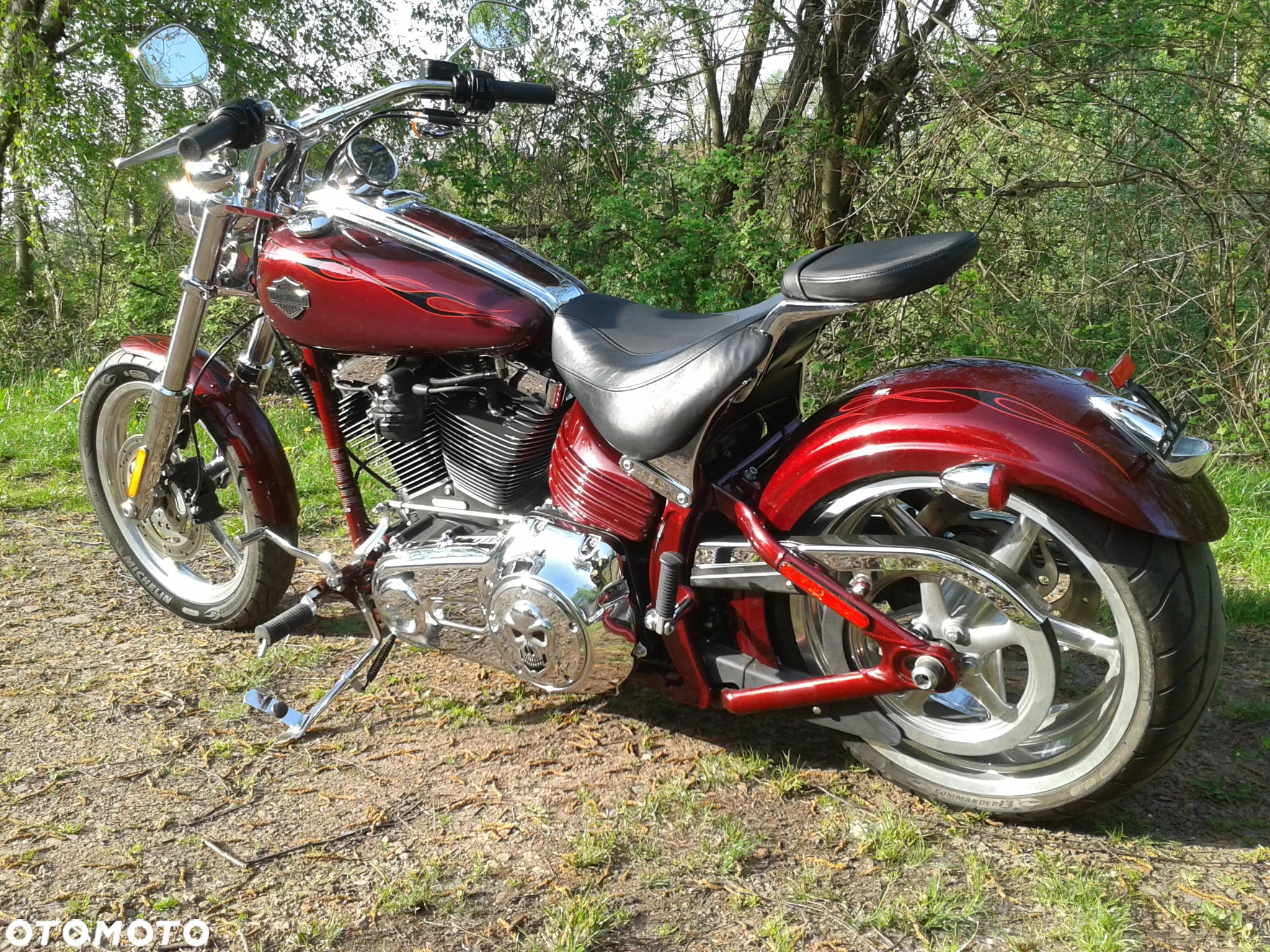Harley-Davidson Softail - 6