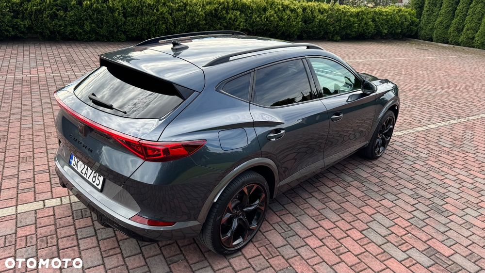 Cupra Formentor 2.0 TSI 4Drive DSG - 18