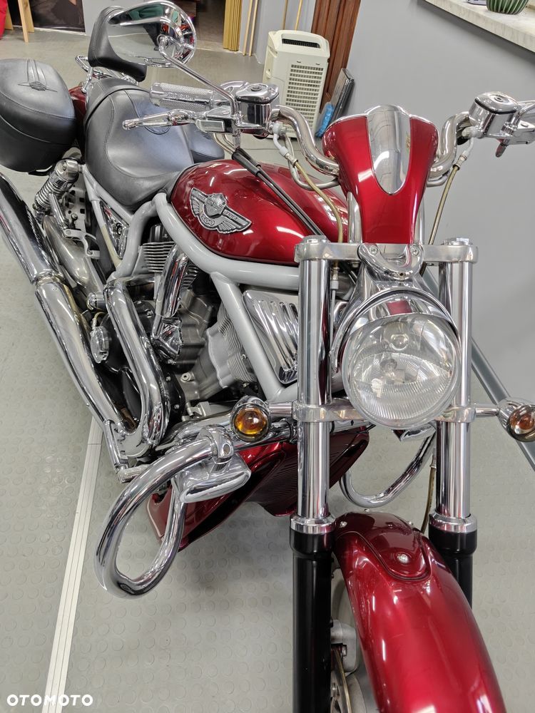 Harley-Davidson Softail V-Rod - 4