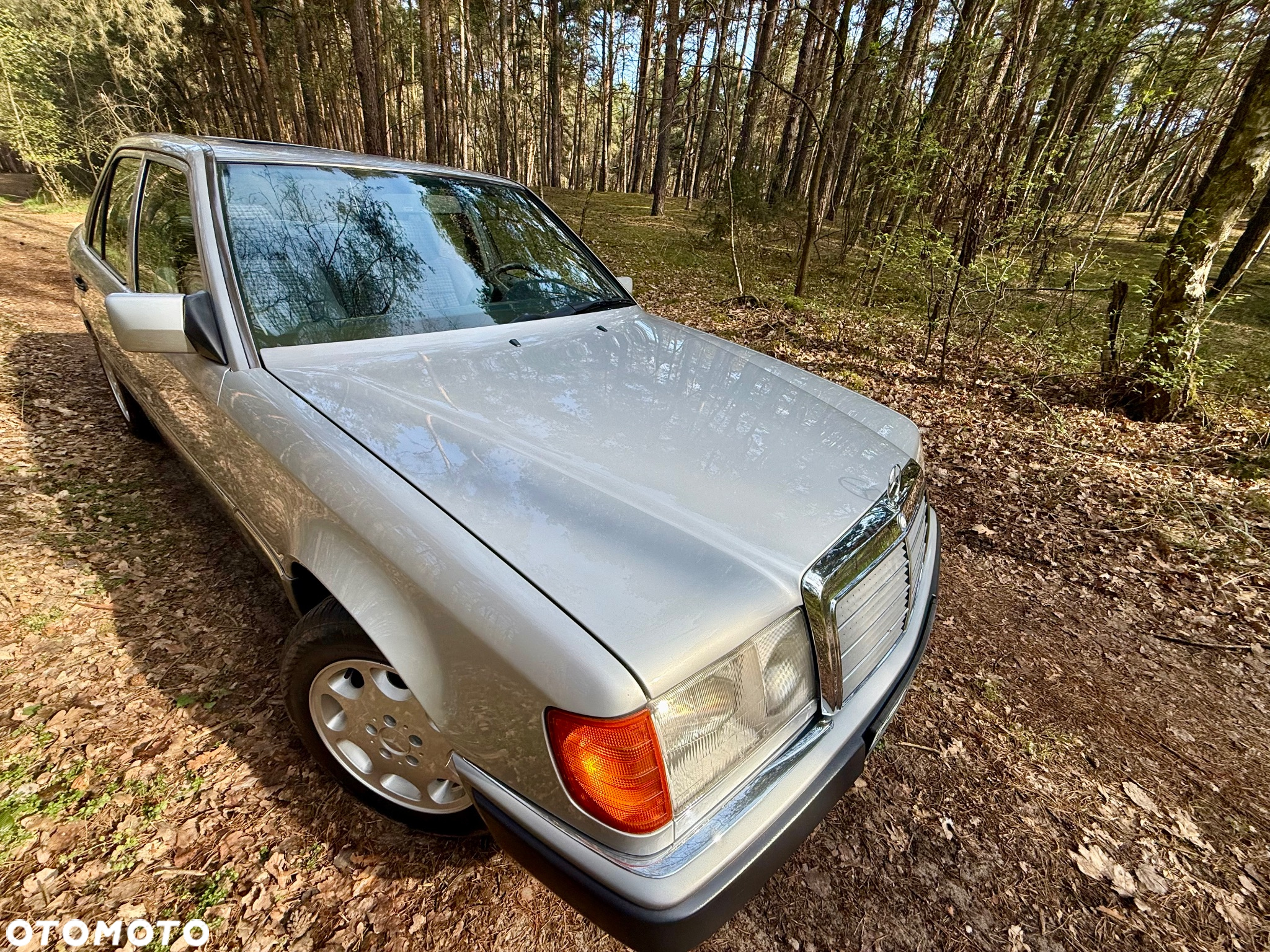 Mercedes-Benz W124 (1984-1993) - 31