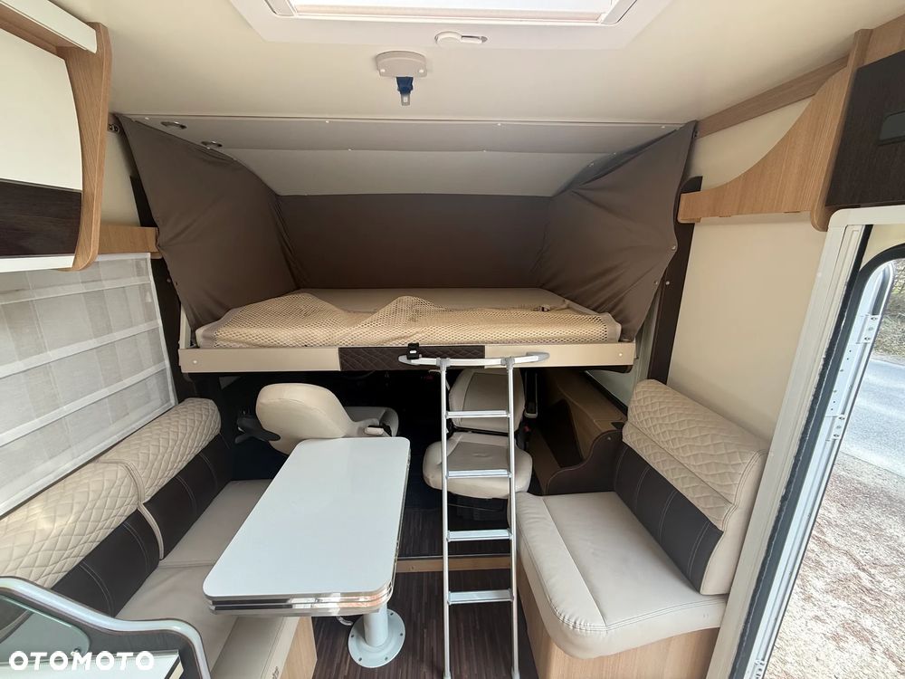 McLOUIS Yearling i61g - 21