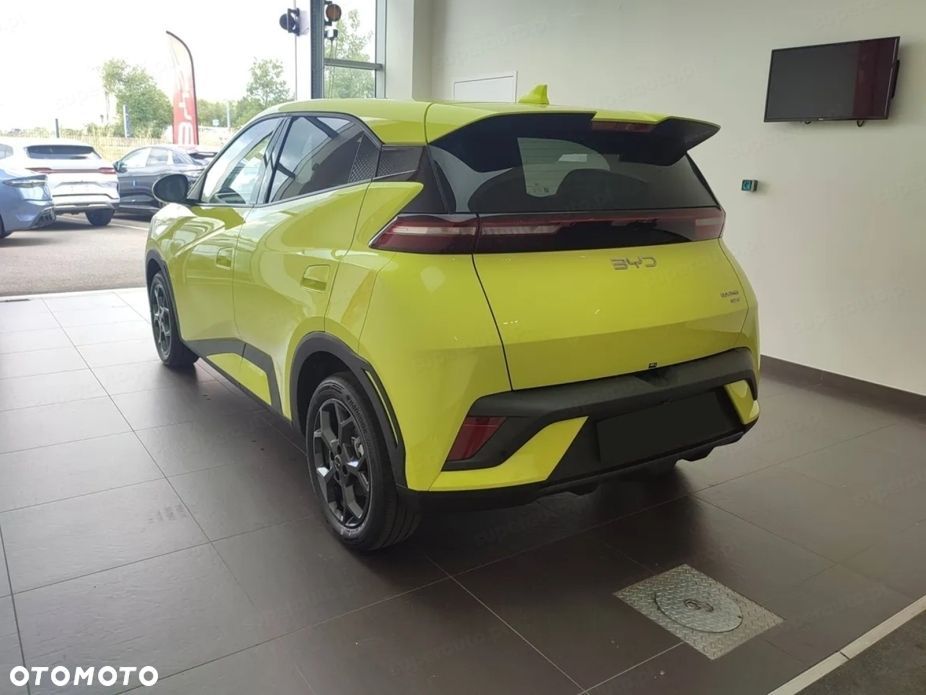 BYD Dolphin Surf - 2