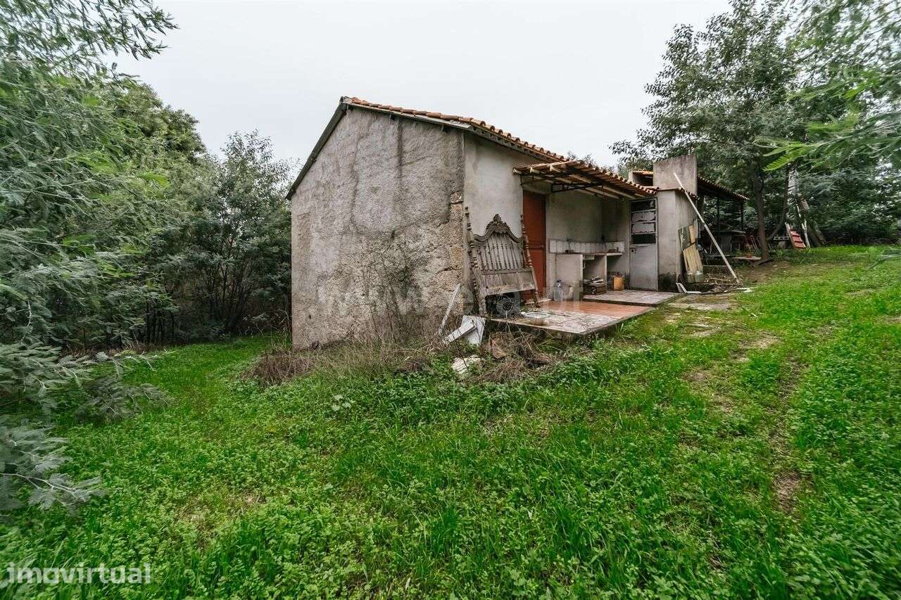 Quinta T1 / Fundão, Vale Prazeres - Grande imagem: 2/19