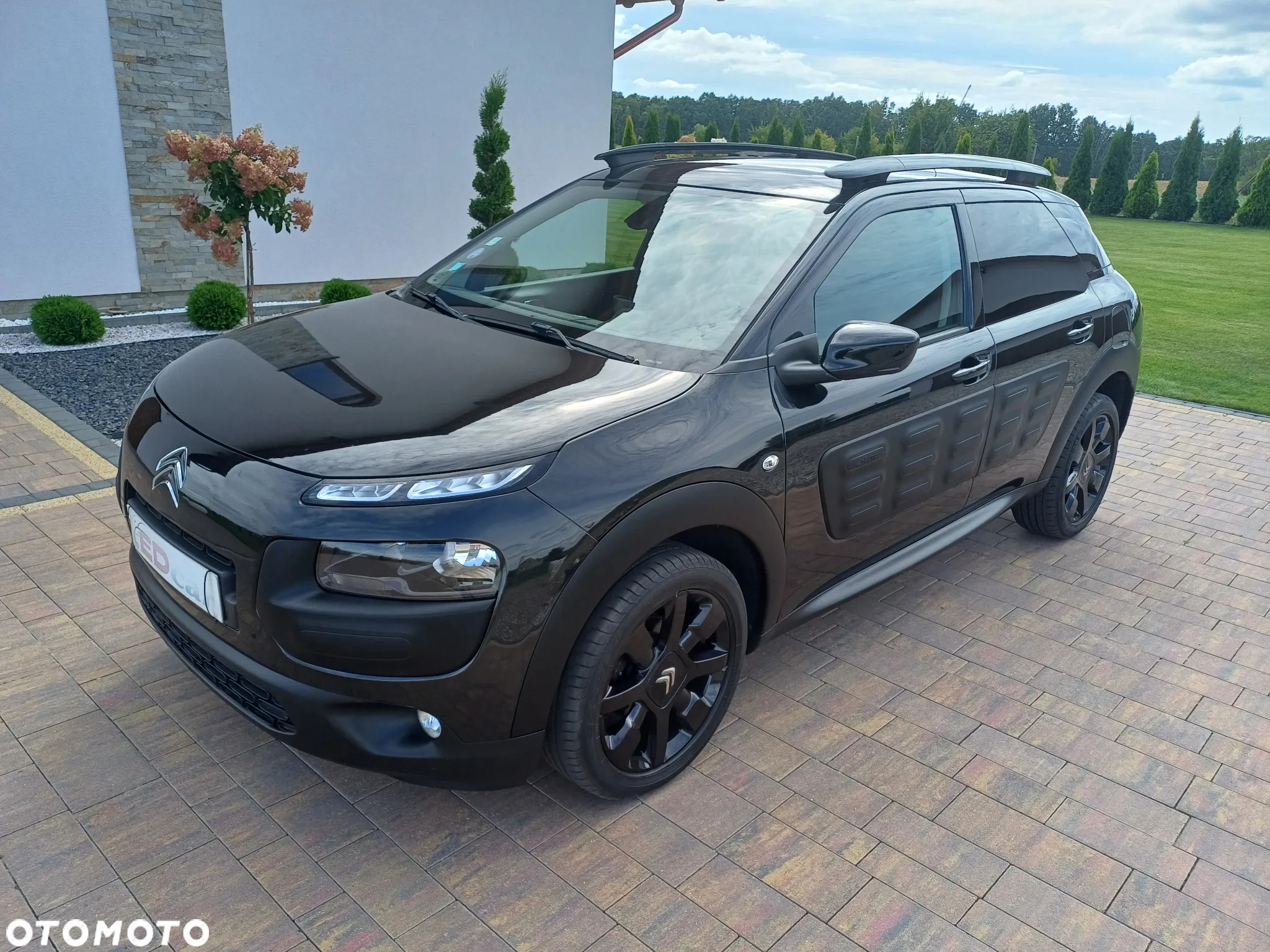 Citroën C4 Cactus 1.2 PureTech Shine - 2