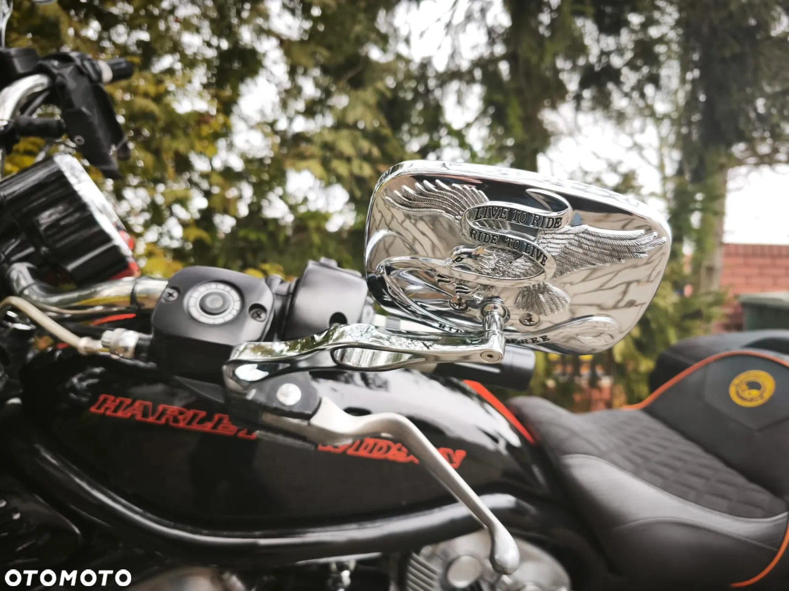 Harley-Davidson V-Rod Street Rod - 6