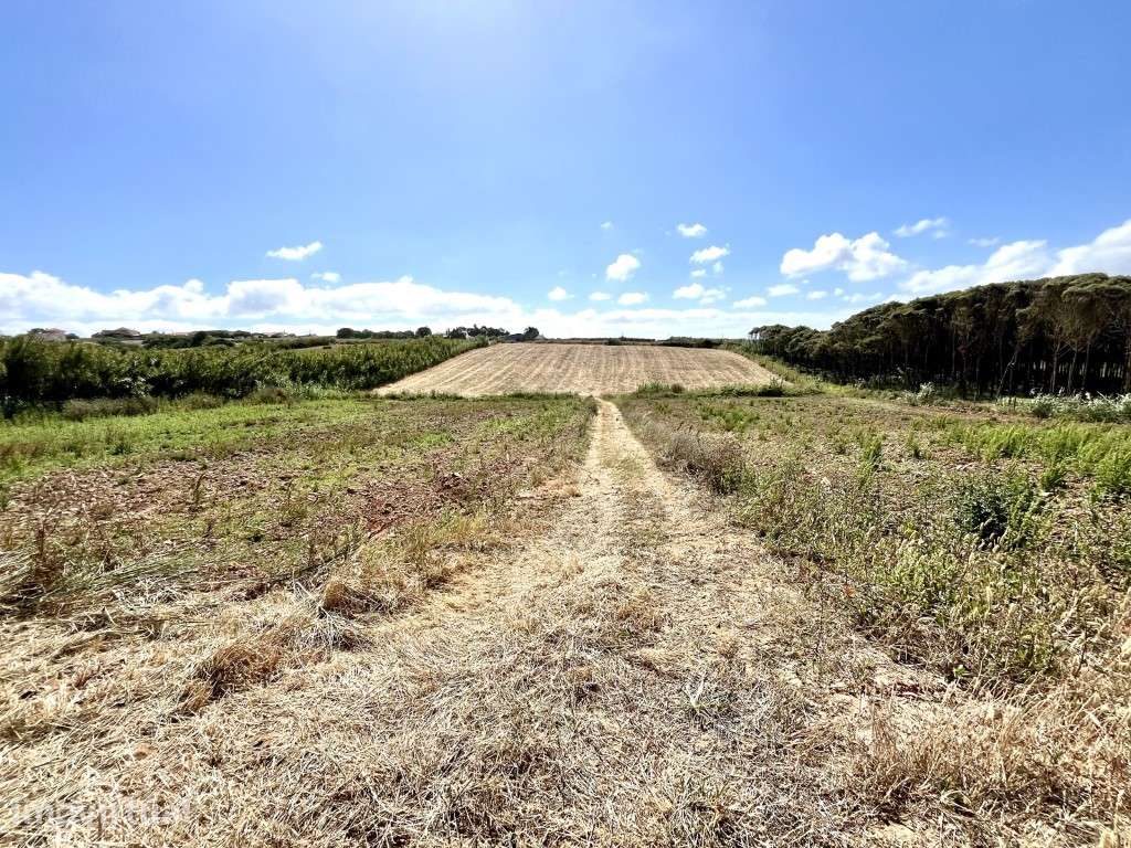 Terreno agrícola localizado perto da Praia Azul - View 2