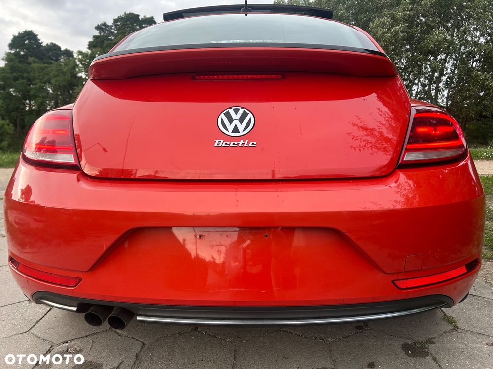 Volkswagen Beetle - 4