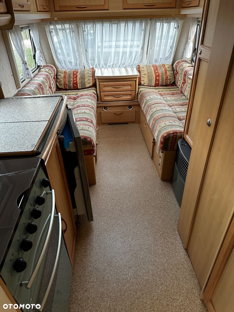 Coachman Amara - 6