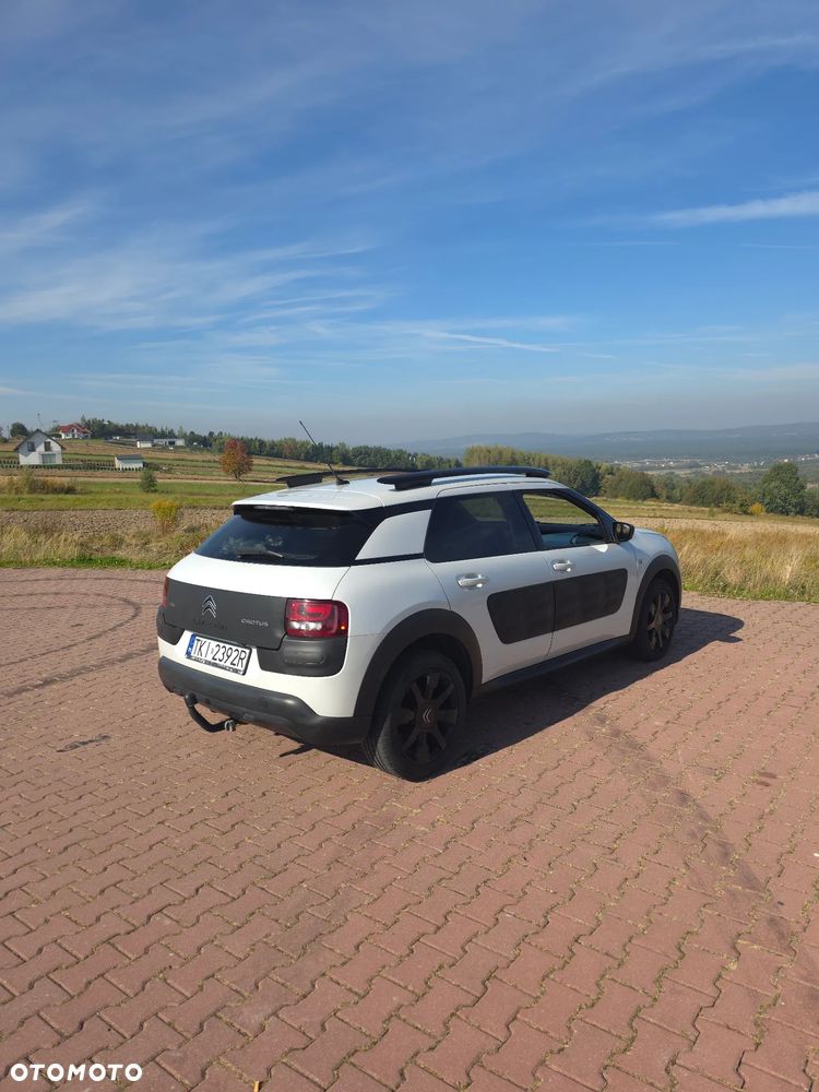 Citroën C4 Cactus 1.6 Blue HDi Shine ETG - 14