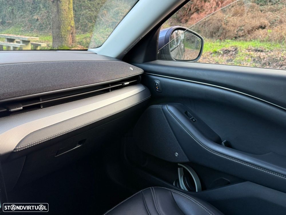 Ford Mustang Mach-E Standard - 14