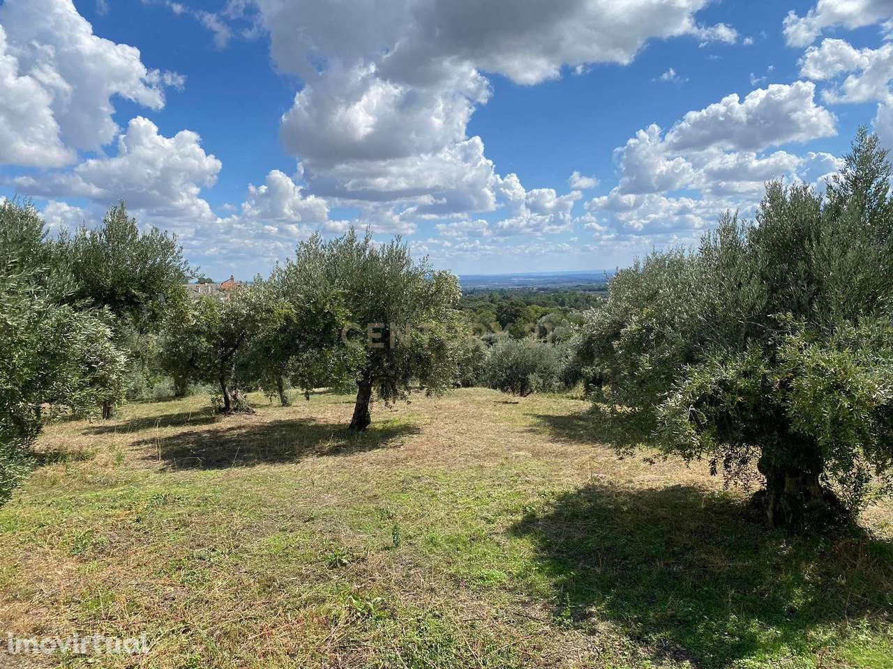 Quinta em Alpedrinha, Fundão - Grande imagem: 2/10