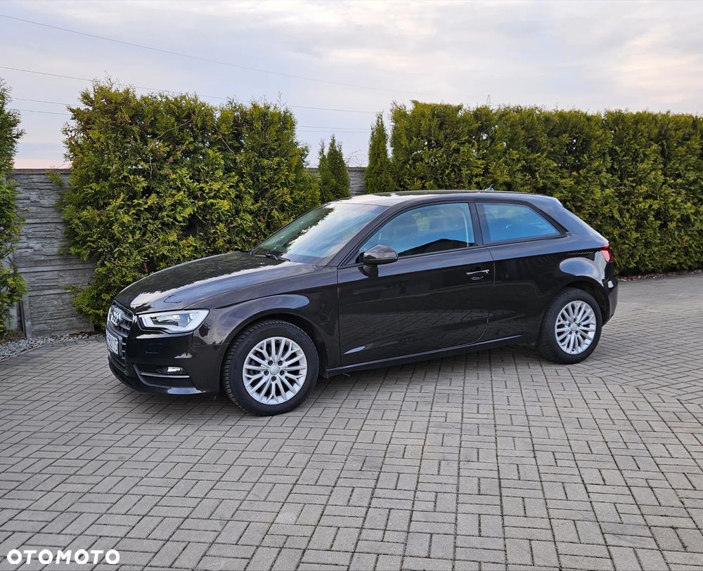 Audi A3 3-drzwiowe 1.6 TDI Attraction - 7