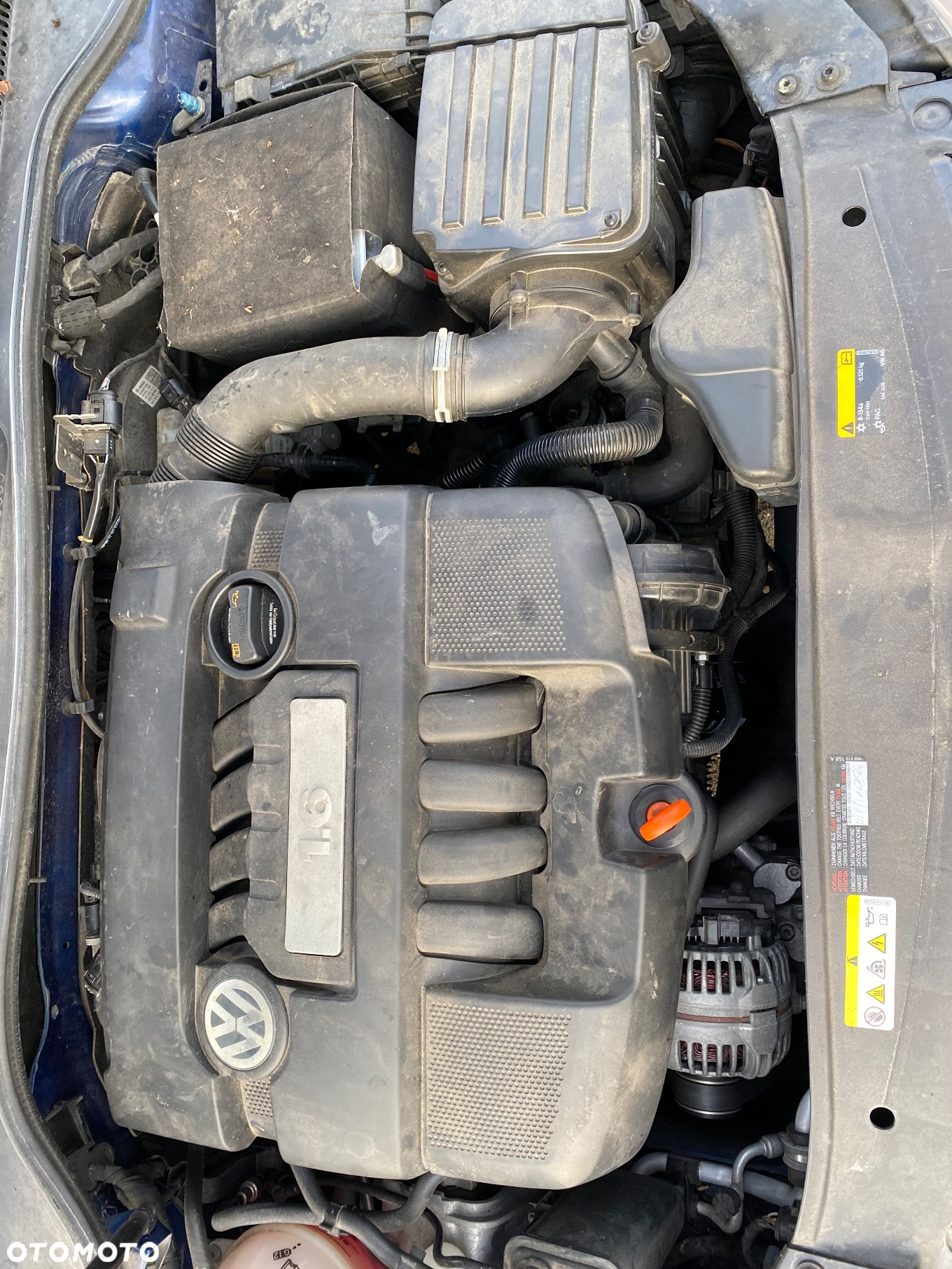 Volkswagen Golf 1.6 Edition - 16