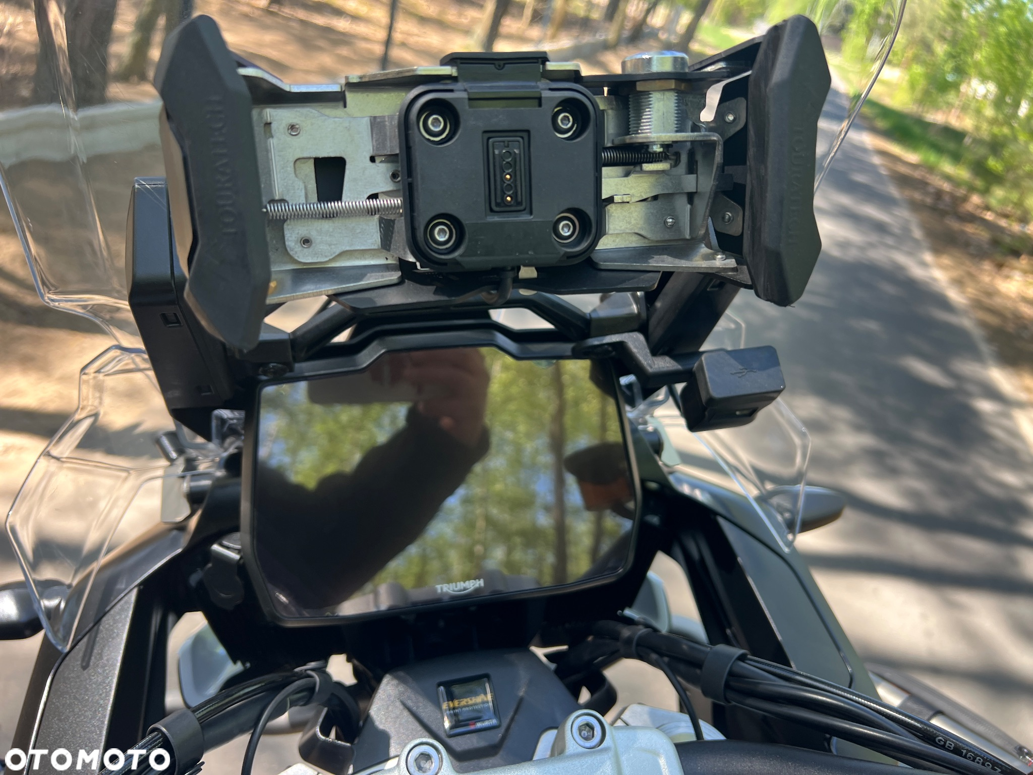 Triumph Tiger - 28