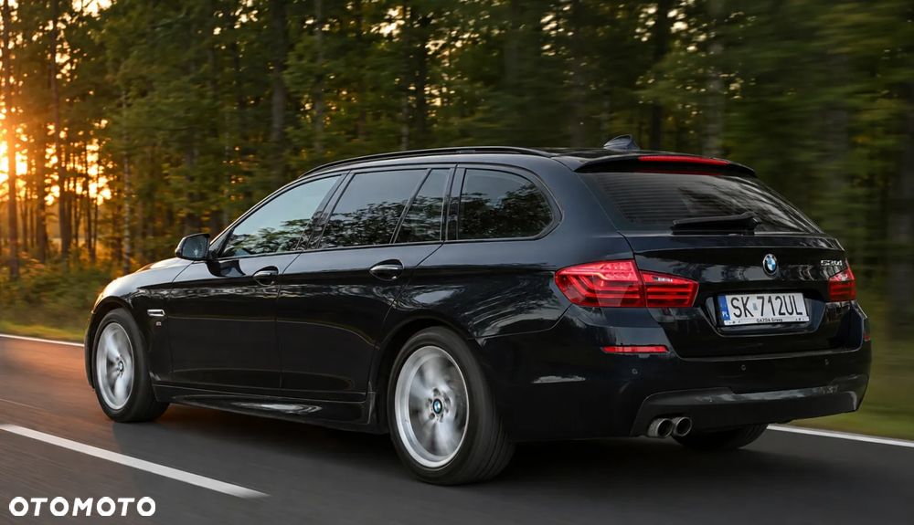 BMW Seria 5 520d M Sport Edition - 19