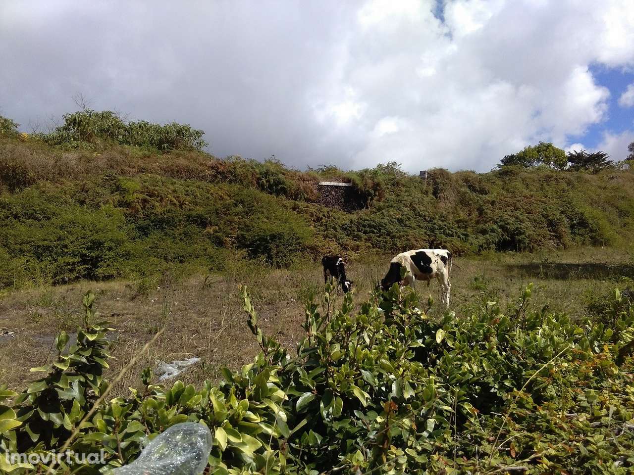 Terreno para construção em Ponta Delgada (São Pedro) - Grande imagem: 3/3