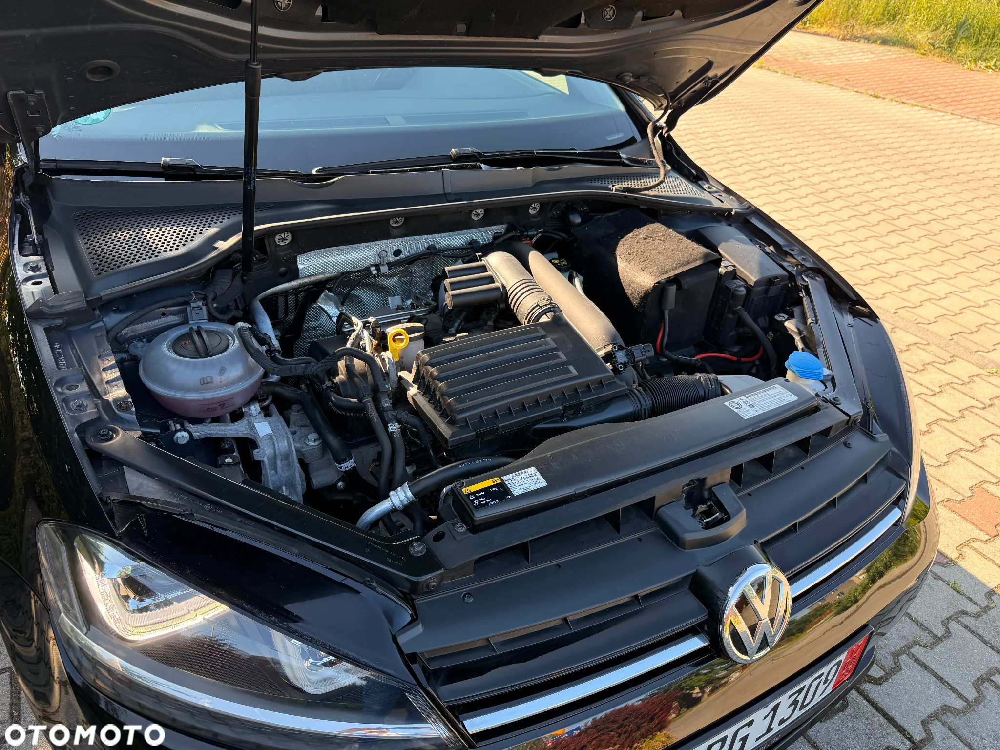 Volkswagen Golf - 24