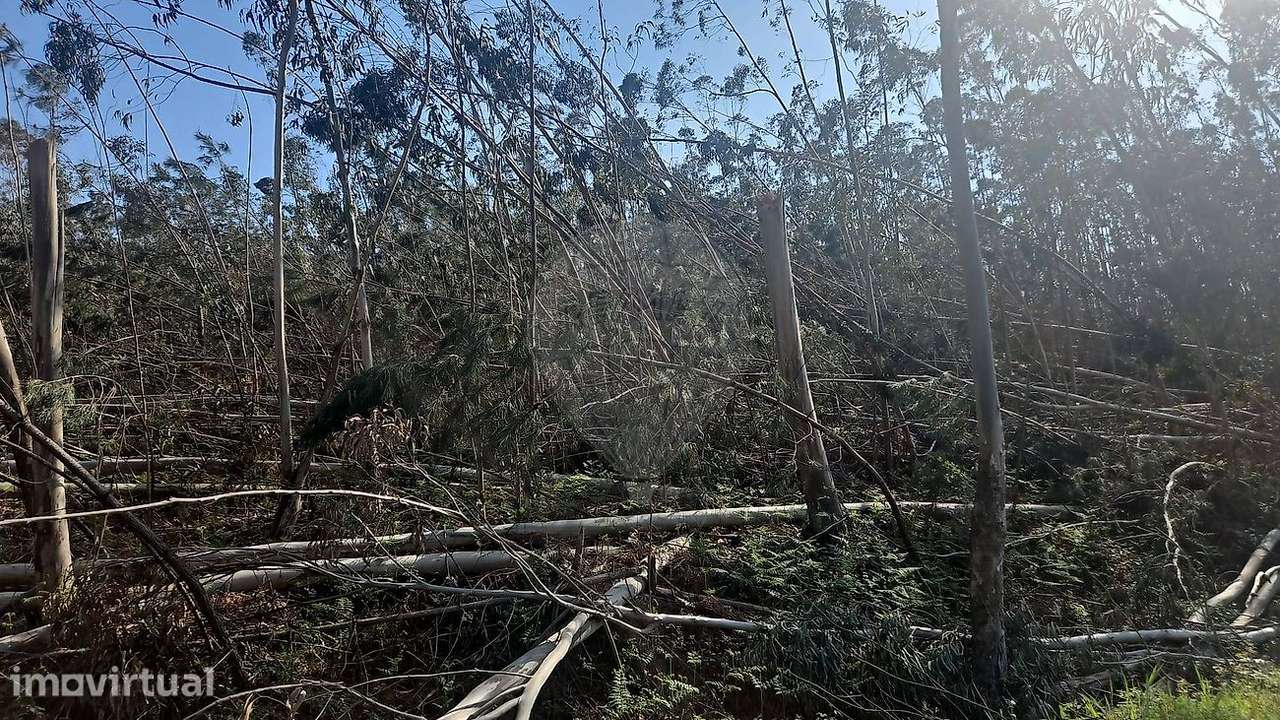 Terreno  para venda - Grande imagem: 4/6