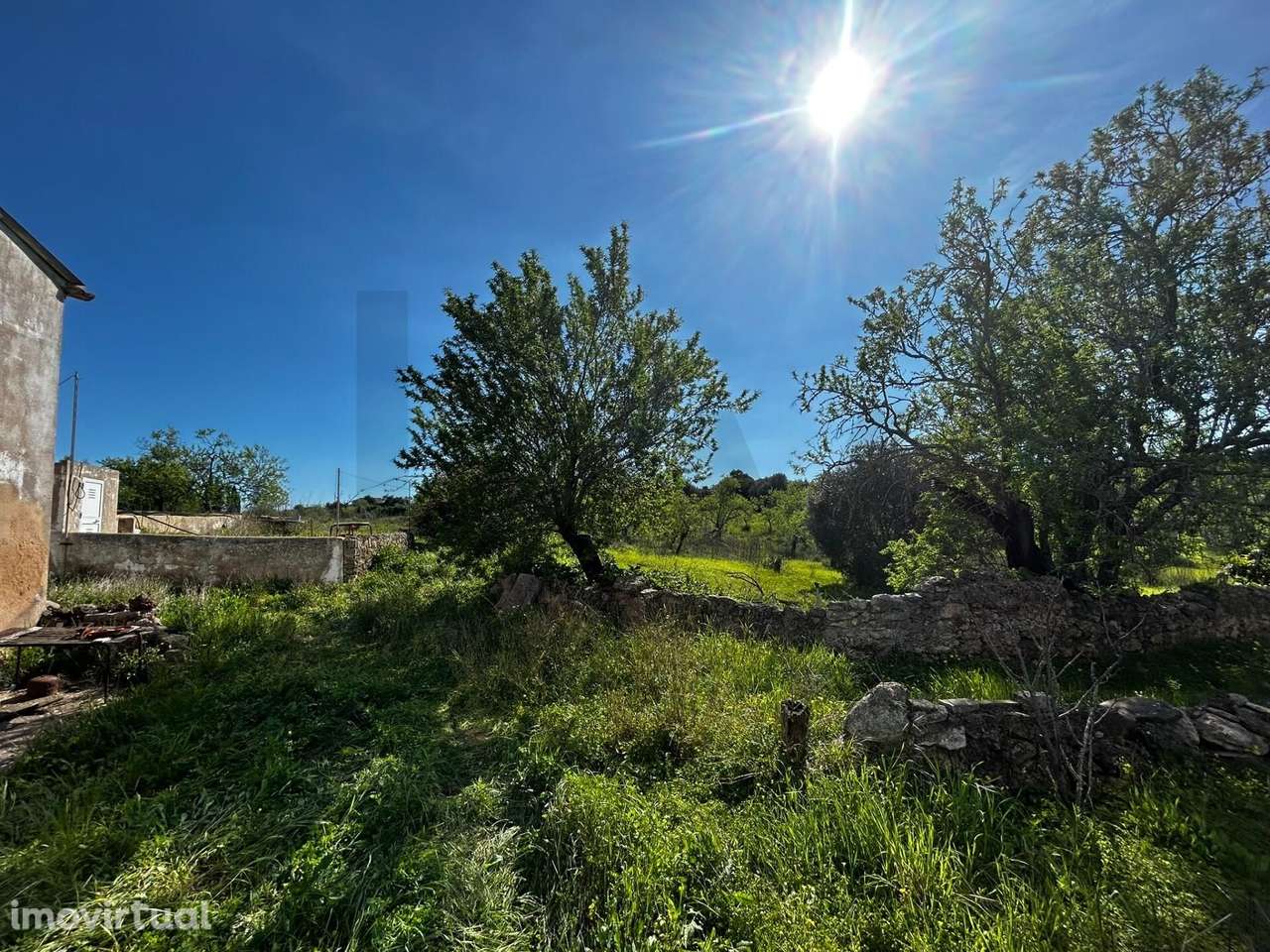 Excelente oportunidade no Algarve: ruína com terreno de 1,5 ha e local - Grande imagem: 4/21