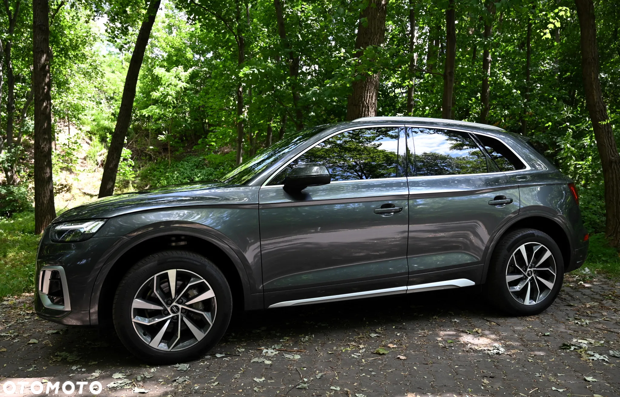 Audi Q5 - 19