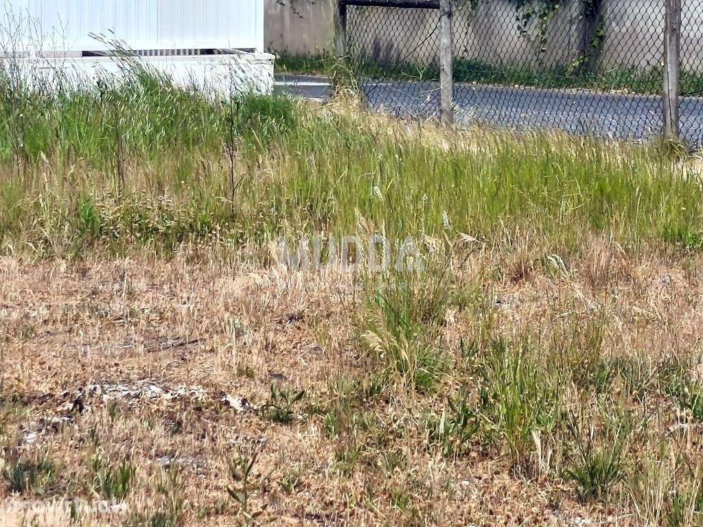 Terreno para construção na Benedita - Grande imagem: 2/4