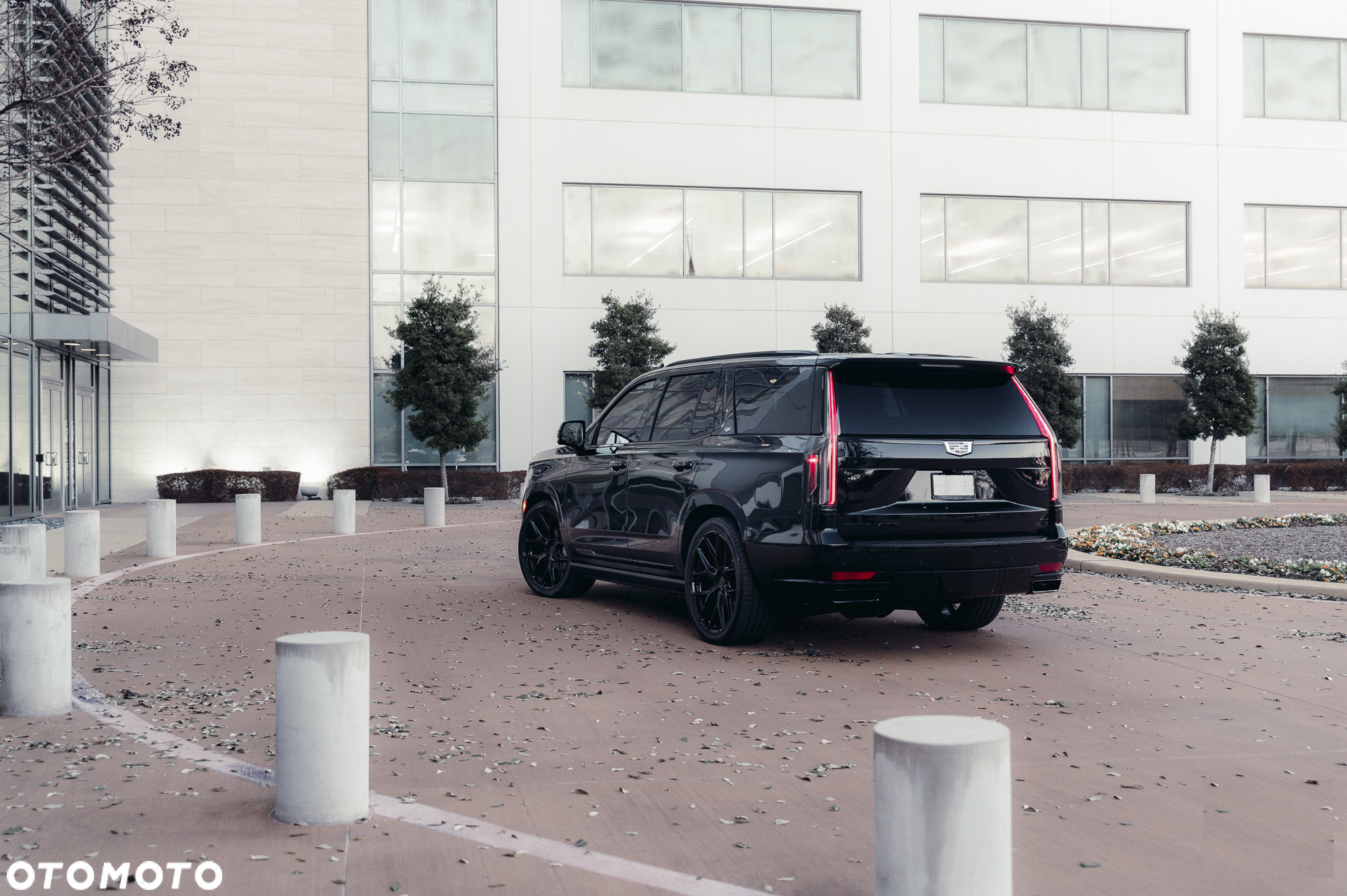 Cadillac Escalade - 15