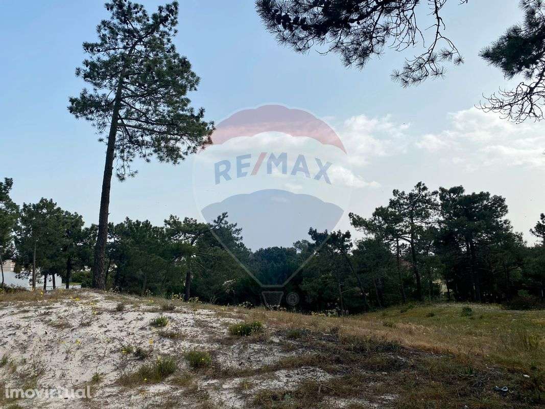 Terreno  para venda - Grande imagem: 3/14