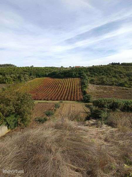 Oportunidade terreno - Grande imagem: 3/10