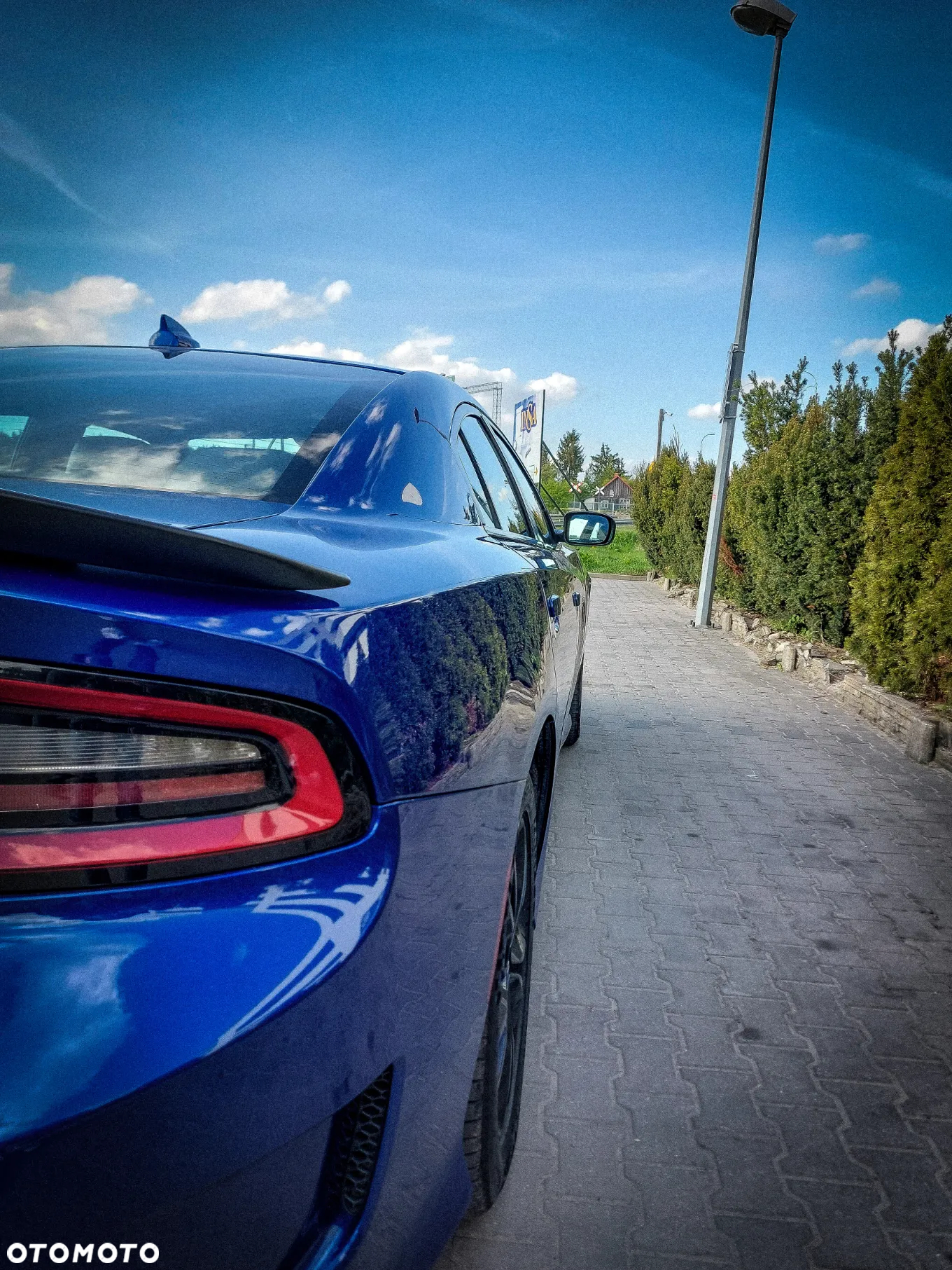Dodge Charger - 7