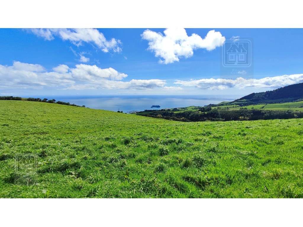 VENDA de TERRENO/PRÉDIO RÚSTICO - Freguesia de São Miguel, Vila Fra... - Grande imagem: 2/19