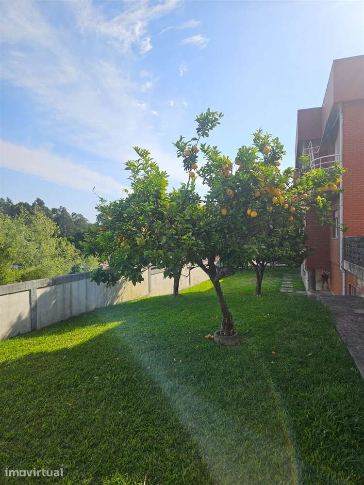 Apartamento T3 Remodelado em Condomínio Fechado | Grijó - Grande imagem: 5/24