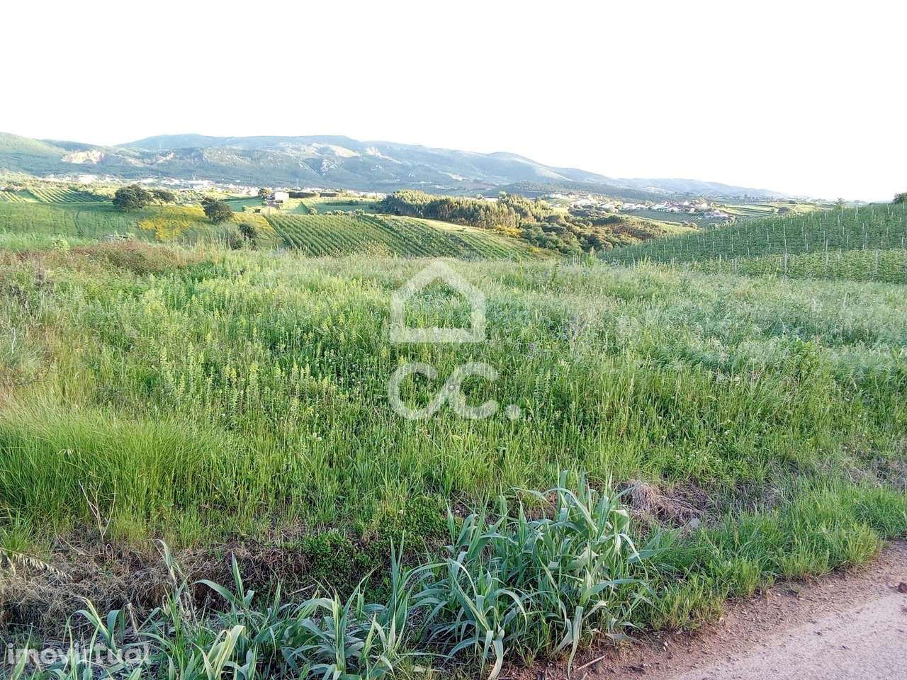 Terreno rústico para venda, em Cadaval. - Grande imagem: 5/8