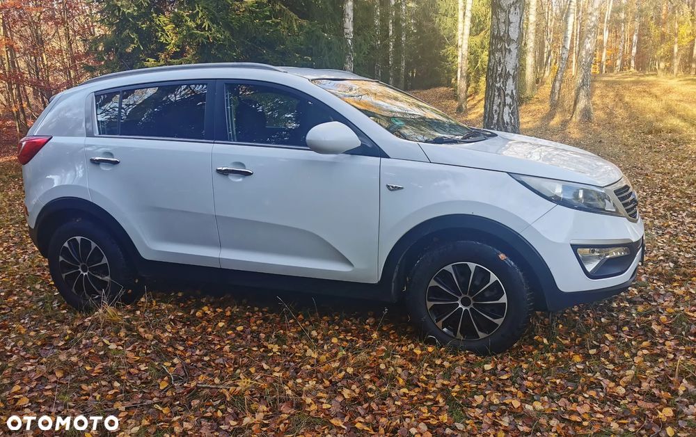 Kia Sportage - 3