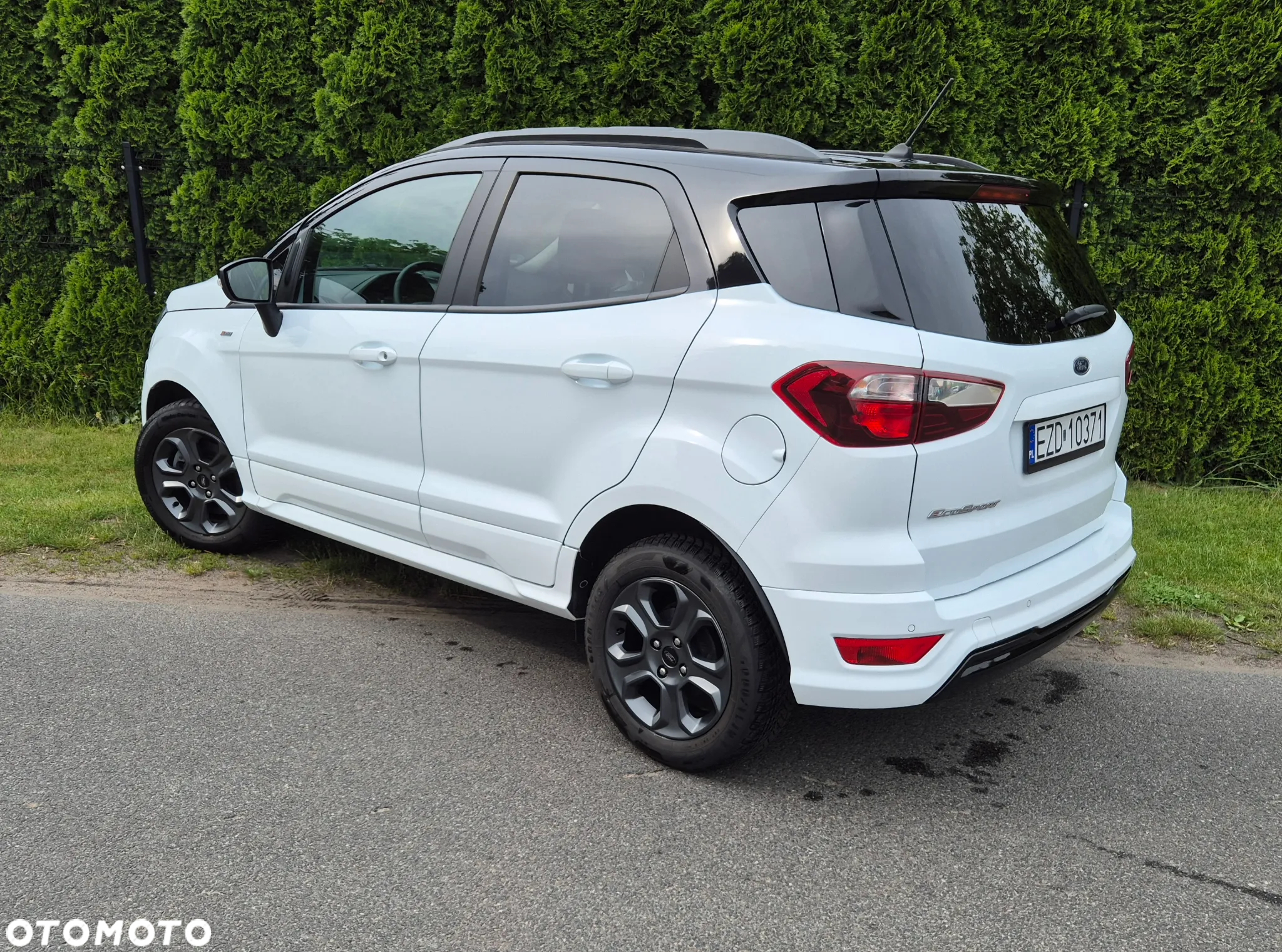 Ford Fiesta - 26