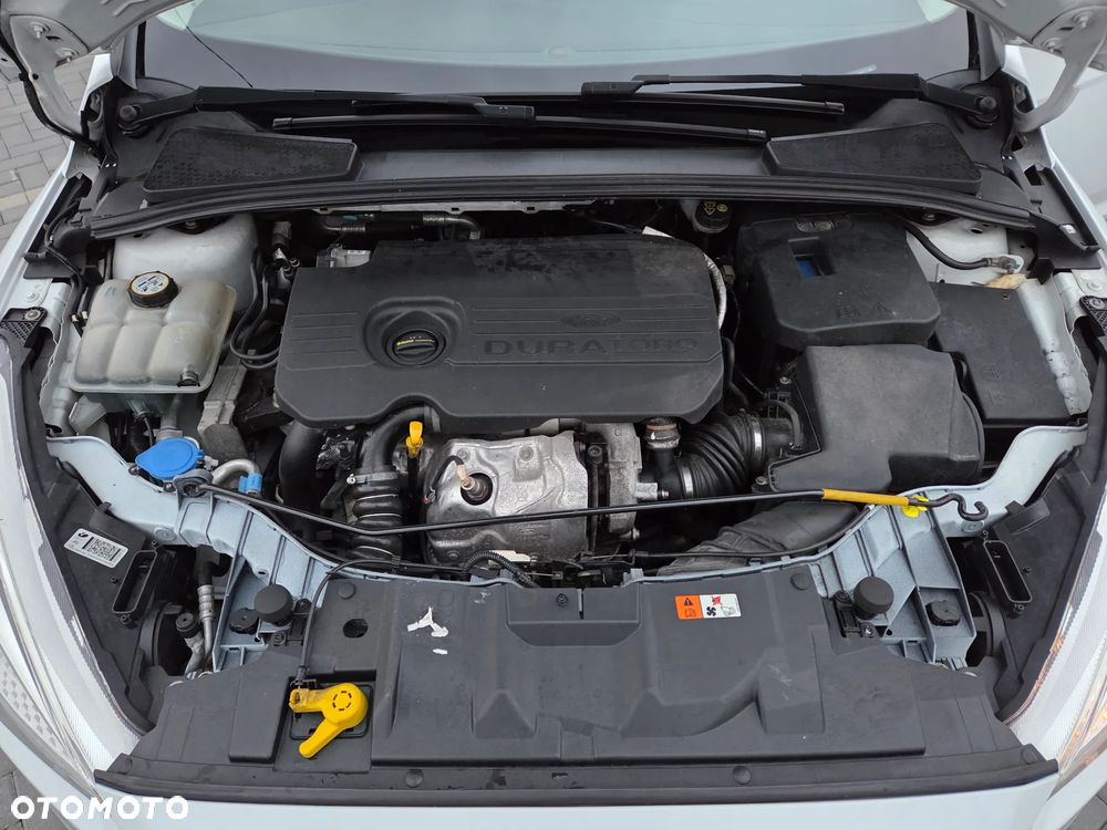 Ford Focus - 22