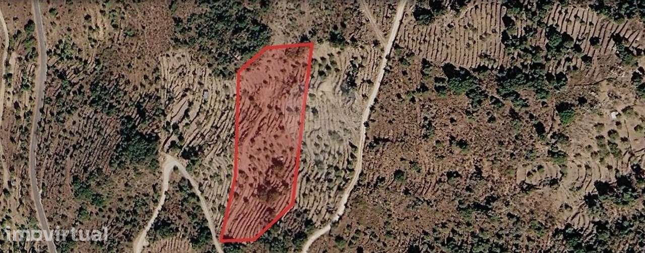 Terreno  para venda - Grande imagem: 2/3