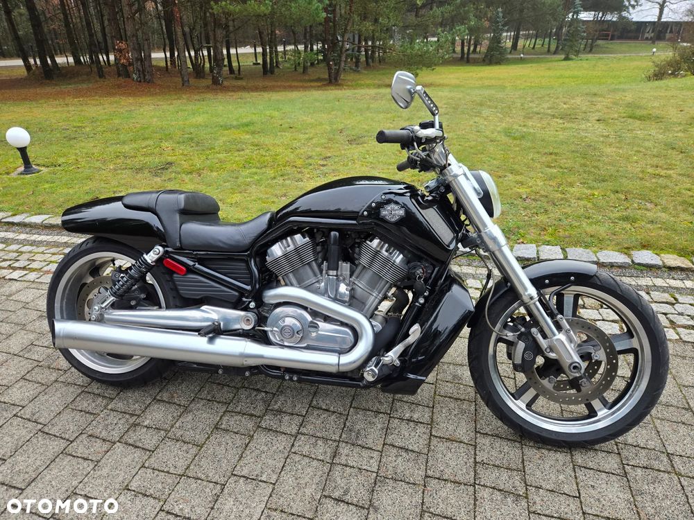 Harley-Davidson V-Rod Muscle - 1