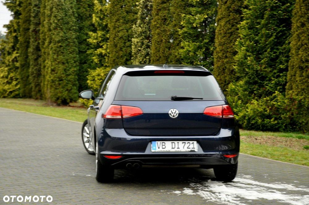 Volkswagen Golf - 15