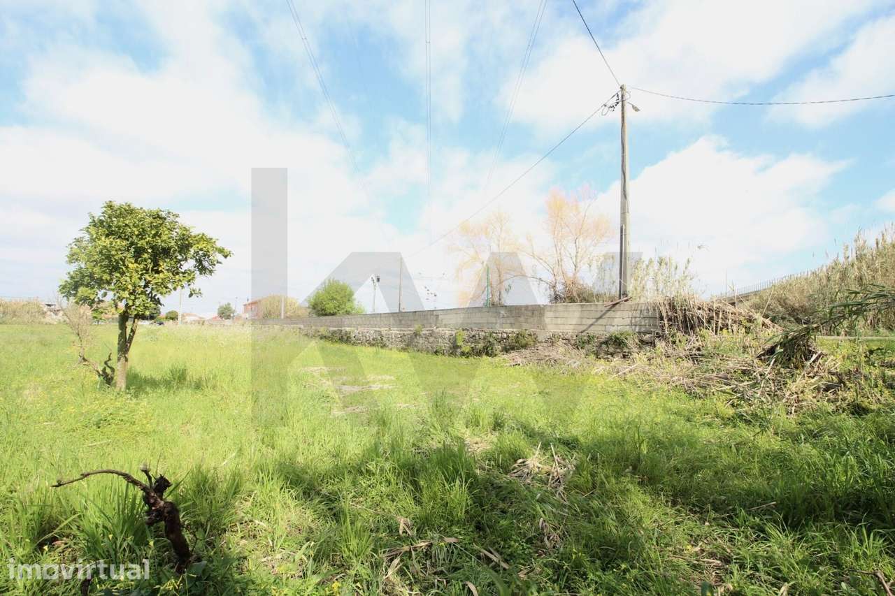 Lote Terreno Ribeira de Frades, 2430m2 - Grande imagem: 4/9