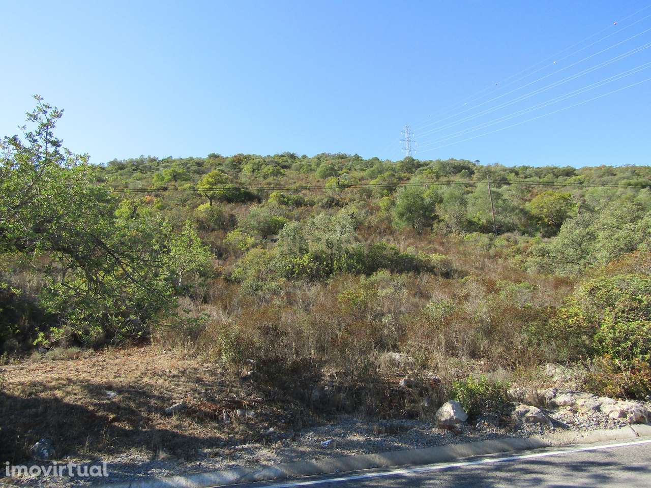 Terreno Rústico em São Brás de Alportel - Grande imagem: 2/6