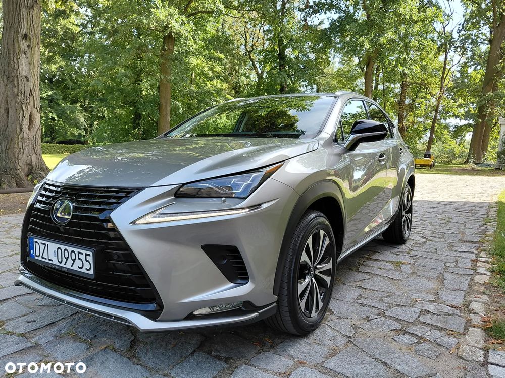 Lexus NX 300h Prestige AWD - 2