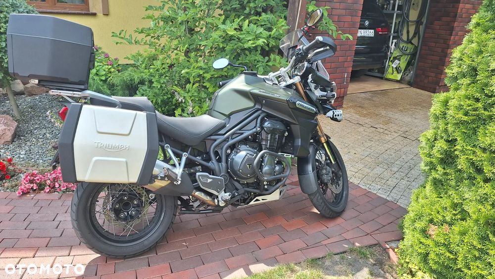 Triumph Tiger - 20