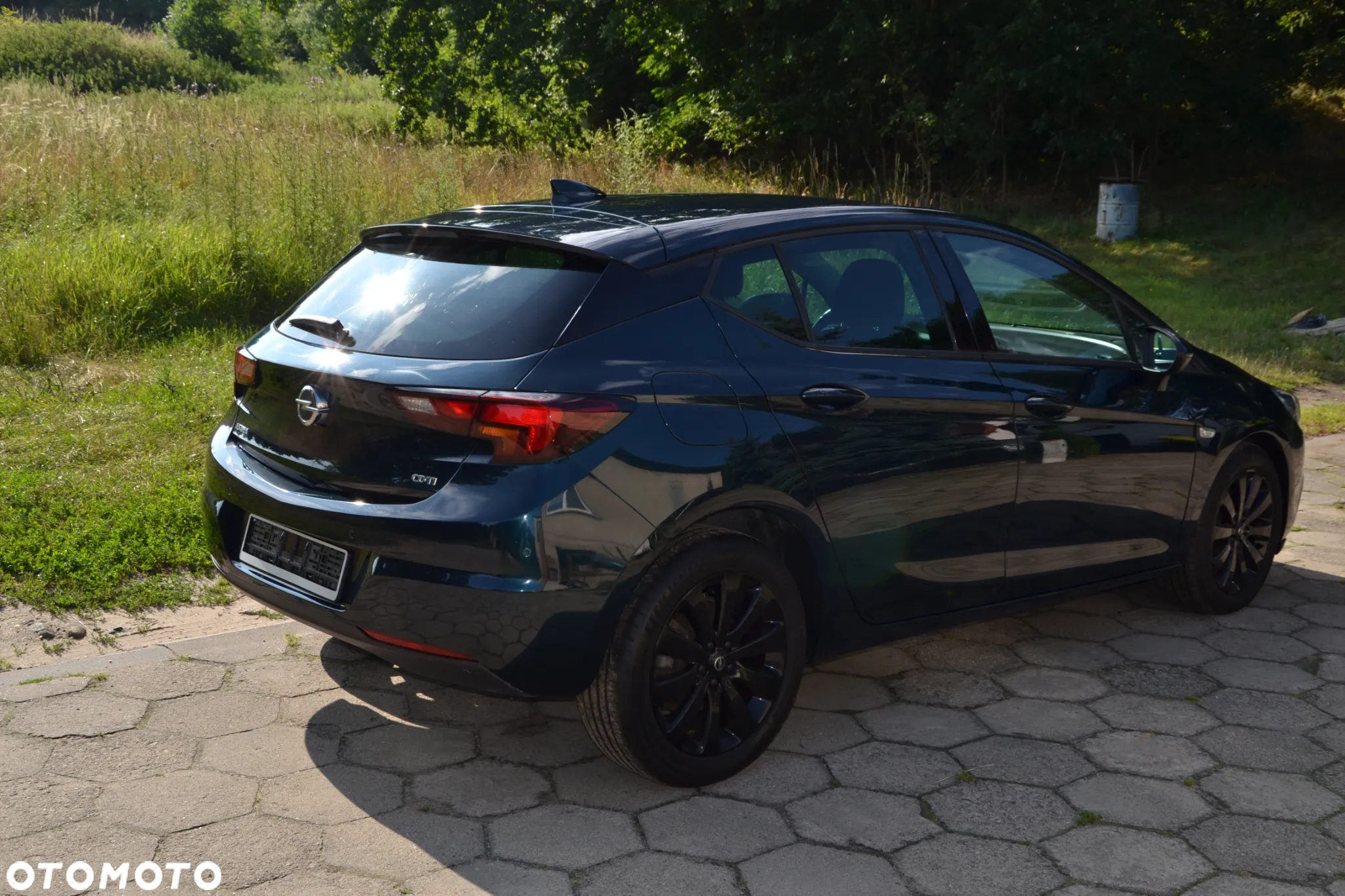 Opel Astra V 1.6 CDTI Elite S&S - 13
