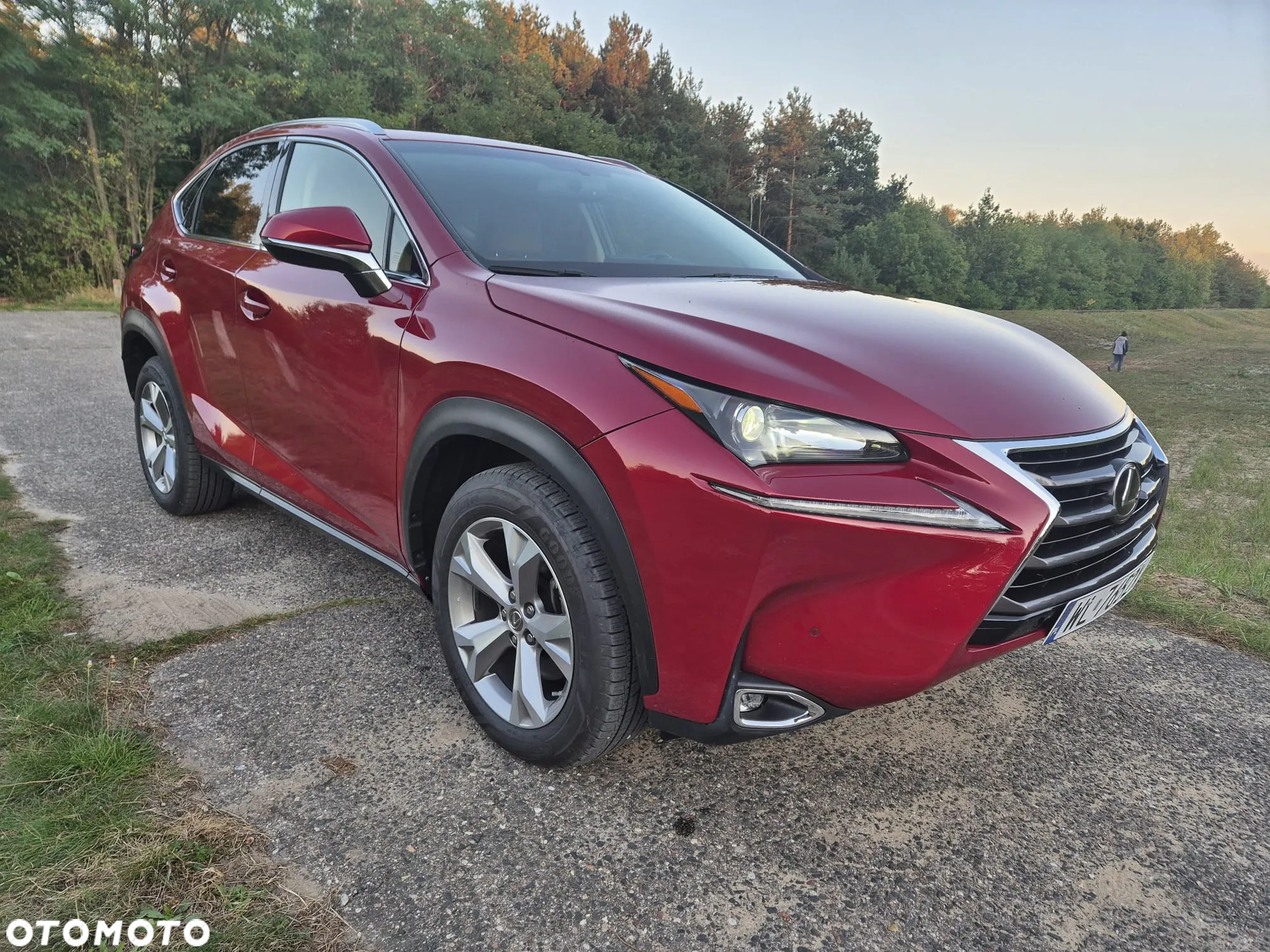 Lexus NX 200t Elite 2WD - 19