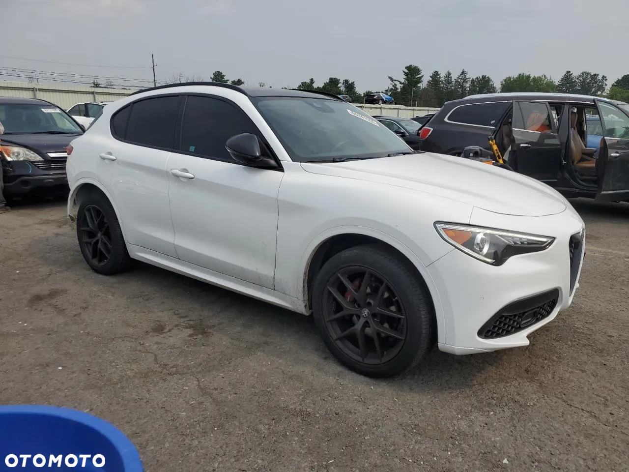 Alfa Romeo Stelvio 2.0 Turbo 6C Villa D'este Q4 - 2
