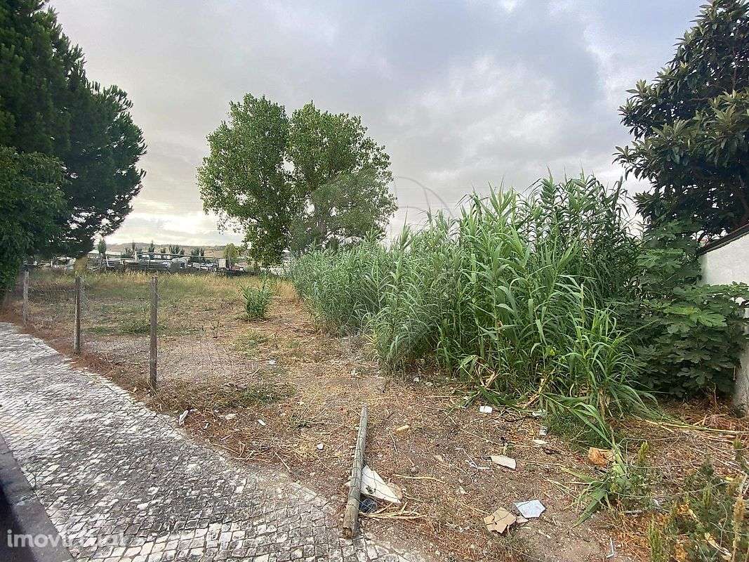 Terreno  para venda - Grande imagem: 4/4