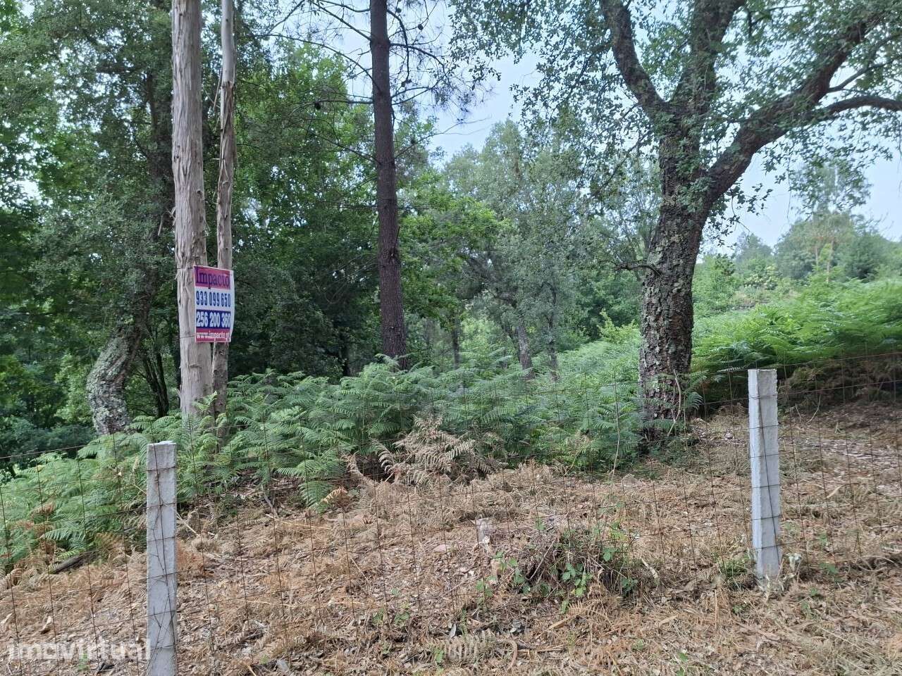 Terreno c/ projeto - Vale de Cambra - Grande imagem: 2/18